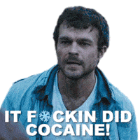 It Fucking Did Cocaine Cocaine Bear Sticker - It Fucking Did Cocaine Cocaine Bear It Has Used Cocaine Stickers