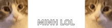 a close up of a cat 's face with the words minh lol written in white letters .