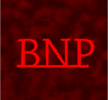 bnp theofficialbnp