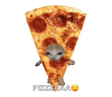 Can We Get Pizza GIF