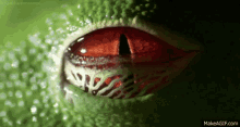 frog eye red opening slit
