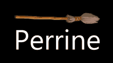 Perrine Blood Broom GIF - Perrine Blood Broom Fly GIFs