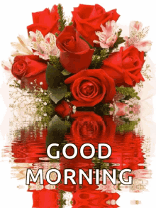 Good Morning Roses GIF - Good Morning Roses Rose GIFs