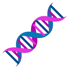 genetic deoxyribonucleic