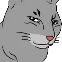 a close up of a cat 's face with a red nose on a white background .