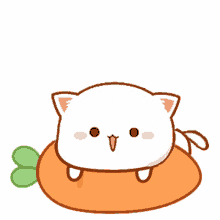 mitao mochi mochi cat
