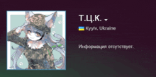 a picture of a cat in a military uniform with the name t.c.i.k.