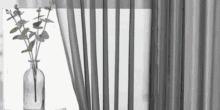 Sheer Curtains GIF - Sheer Curtains GIFs
