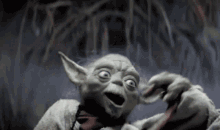 Yoda Luke Skywalker GIF