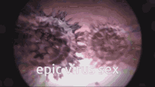 sex virus twd feras feras plays