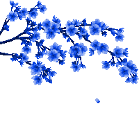 a tree branch with blue flowers on a white background with a watermark that says picmix