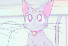 Sailormoon Cat GIF - Sailormoon Cat Anime GIFs