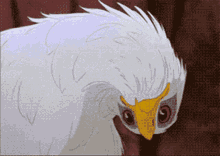 Eagle Surprised GIF - Eagle Surprised What GIFs