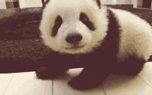 Panda GIF - Panda Adorable Cute GIFs