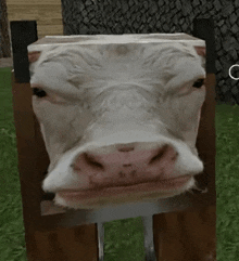 a cow 's head is on a wooden box in a game