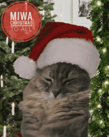 Miwa Christmas Lpu Christmas GIF - Miwa Christmas Lpu Christmas Miwa Dangus GIFs
