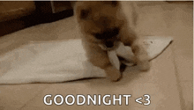 Time To Sleep Good Night GIF - Time To Sleep Good Night Dogs GIFs