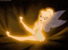 tinkerbell disney fairy peterpan cartoon