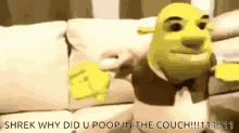 Shrek Poop GIF - Shrek Poop GIFs