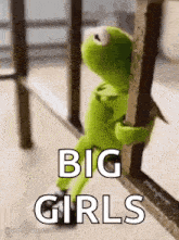 kermit the frog is leaning against a railing with the words `` big girls '' .