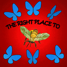 a picture of a bee with the words " the right place to "