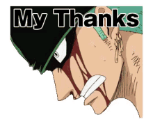 My Thanks Zoro GIF - My Thanks Zoro One Piece GIFs