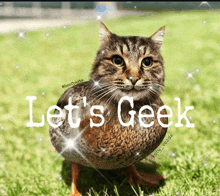 a cat that looks like a duck with the words let 's geek on it