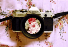 Flower Camera GIF - Flower Camera Canon GIFs