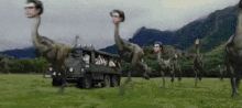 Jurassic Park GIF - Jurassic Park Jurassic GIFs