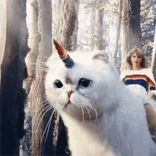 Reputation Taylor Swift GIF - Reputation Taylor Swift Unicorn Cat GIFs
