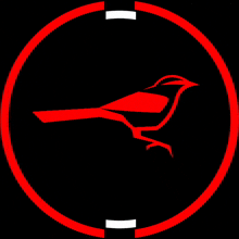 Team Cardinalis Bird GIF - Team Cardinalis Bird Red GIFs