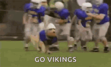 Minnesota Vikings GIF - Minnesota Vikings Football GIFs