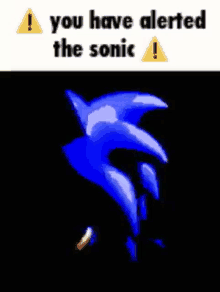 Sonic Cd Jumpscare GIF