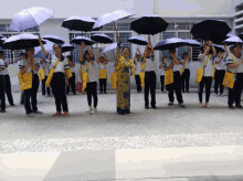 Nhc12a3 Umbrella GIF - Nhc12a3 Umbrella Dance GIFs