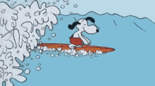 Snoopy Surfing GIF - Snoopy Surfing Summer GIFs