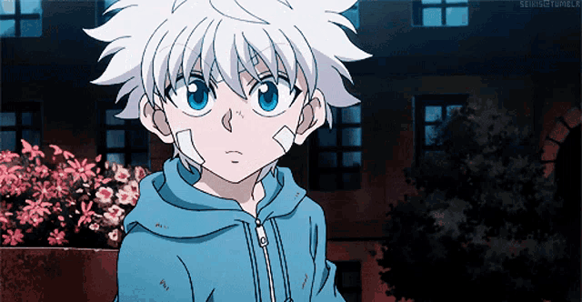 Hunter X Hunter / #anime  Hunter x hunter, Hunter anime, Hunter