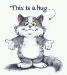 Kitty Hug GIF - Kitty Hug This Is A Hug GIFs