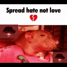 a picture of a rat with a broken heart and the words spread hate not love above it