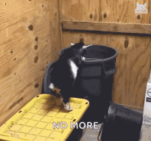 Goat Jumping Into Trash Im Done GIF