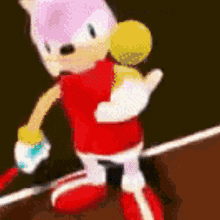 Sonic Tennis GIF - Sonic Tennis Amy Rose GIFs