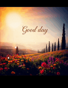 a picture of a field of flowers and the words good day