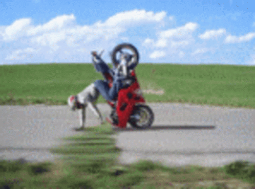 Funny Motorbike Accidents GIFs | Tenor
