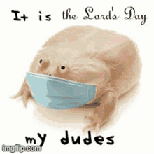 Lords Day Frog GIF - Lords Day Frog Soap GIFs