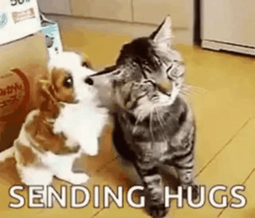 care-hugs.gif