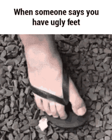 Ugly Feet Foot GIF - Ugly Feet Foot Bird GIFs