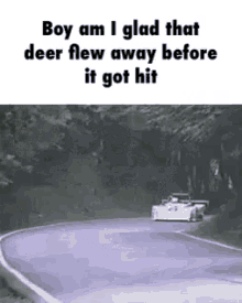 Car Deer GIF - Car Deer Flying GIFs