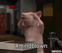 Geico - Mindblown GIF - Mind Blown Pig Explain GIFs