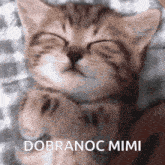 Mimijulka Mimispi GIF - Mimijulka Mimispi Mimidobranoc GIFs