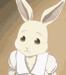 Haru Rabbit GIF - Haru Rabbit Beastars GIFs