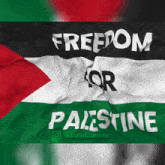 a waving flag with the words freedom for palestine on it